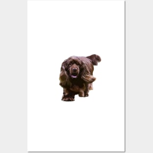 Sussex Spaniel - Beautiful Dog Posters and Art